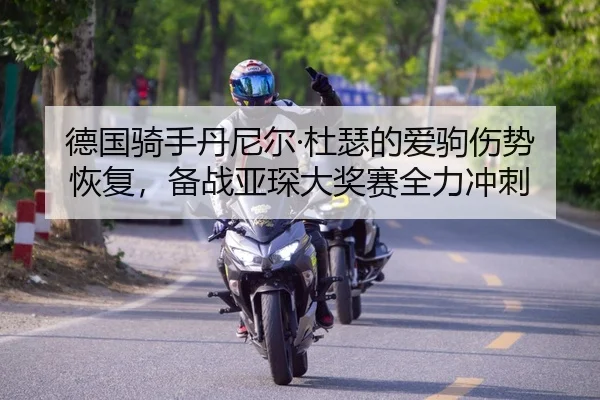 de-guo-qi-shou-dan-ni-er-du-se-de-ai-ju-shang-shi-hui-fu-bei-zhan-ya-chen-da-jiang-sai-quan-li-chong-ci-2-712.jpg