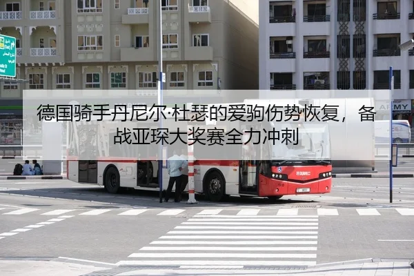 德国骑手丹尼尔·杜瑟的爱驹伤势恢复，备战亚琛大奖赛全力冲刺